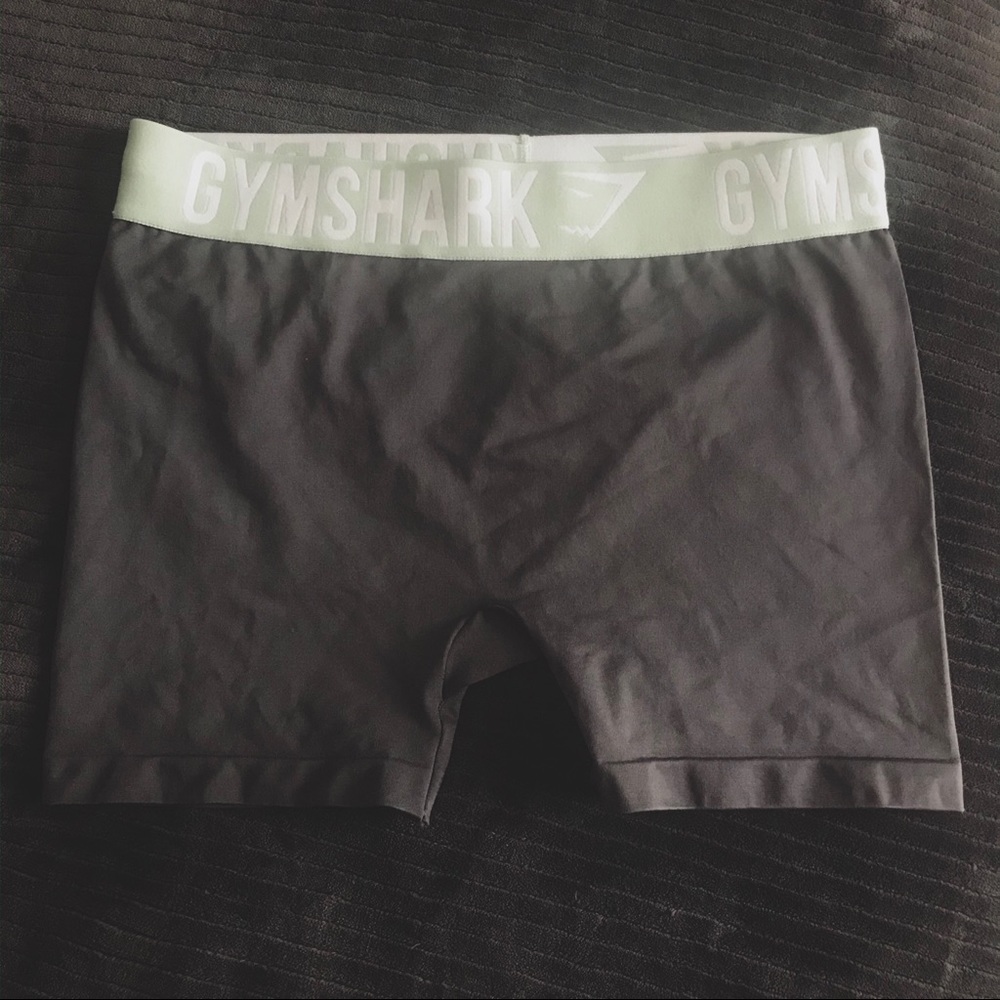 Gymshark Gray & Mint Fit Shorts
